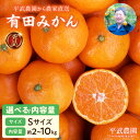 【ふるさと納税】【平武農園より農家直送!】 有田みかん Sサイズ 秀品 選べる 内容量 2kg ~ 10kg ミカン 柑橘 フルーツ 温州みかん 濃い 甘さ 酸味 濃厚 農家直送 こだわり 和歌山 有田 田口みかん 田口地区 和歌山県 湯浅町 送料無料