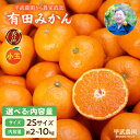 【ふるさと納税】有田みかん 2S サイズ 選べる 内容量 2kg ~ 10kg 秀品 小玉 早生みかん 晩生みかん 有田 みかん 温州みかん フルーツ 果物 果実 柑橘 甘い コク やみつき 国産 食品 食べ物 農家直送 お取り寄せ 和歌山県 湯浅町 平武農園 送料無料