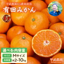 【ふるさと納税】【平武農園より農家直送!】 有田みかん Mサイズ 秀品 選べる 内容量 2kg ~ 10kg ミカン 柑橘 フルーツ 温州みかん 濃い 甘さ 酸味 濃厚 農家直送 こだわり 和歌山 有田 田口みかん 田口地区 和歌山県 湯浅町 送料無料
