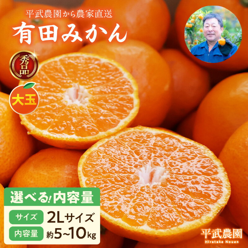 【ふるさと納税】【平武農園より農家直送！】 有田みかん 2Lサイズ 秀品 大玉 選べる 内容量 5kg 10kg ..