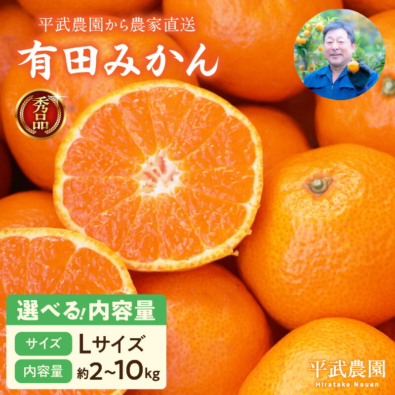 【ふるさと納税】【平武農園より農家直送!】 有田みかん Lサイズ 秀品 選べる 内容量 2kg ~ 10kg ミカン 柑橘 フルーツ 温州みかん 濃い 甘さ 酸味 濃厚 農家直送 こだわり 和歌山 有田 田口みかん 田口地区 和歌山県 湯浅町 送料無料