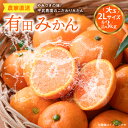 【ふるさと納税】【平武農園より農家直送!】有田みかん 3kg 2Lサイズ《秀品(大玉)》蛍飛ぶ町から旬の便り【ミカン 柑橘 温州みかん 有田みかん 和歌山 有田 田口】
