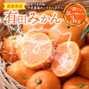 【ふるさと納税】【平武農園より農家直送!】有田みかん 訳あり3kg≪サイズ混合(3S~3L)≫蛍飛ぶ町から旬の便り