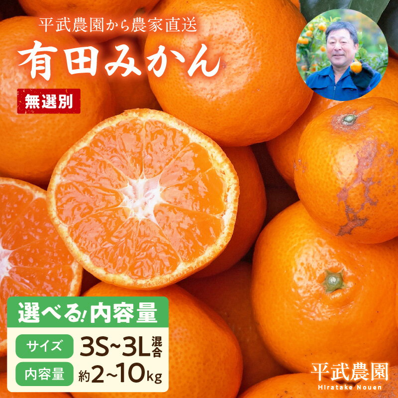 【ふるさと納税】【平武農園より農家直送！】 有田みかん 無選別 3S ～3L 選べる 内容量 2kg ～ 10kg ..