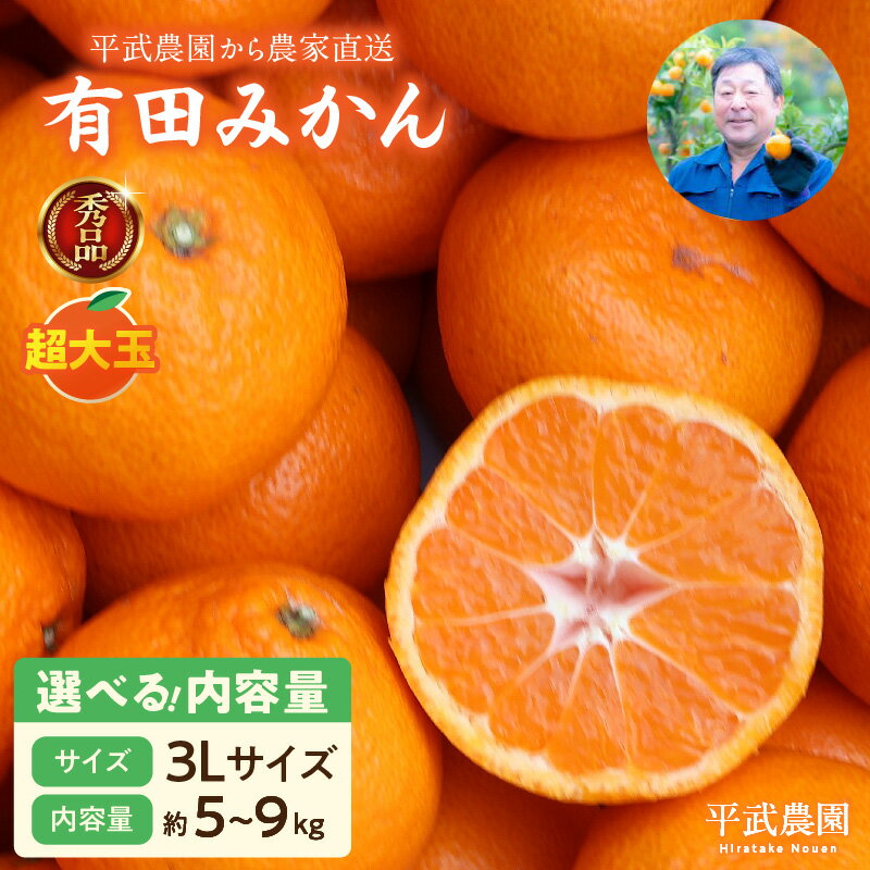 【ふるさと納税】【限定】 有田みかん 3Lサイズ 秀品 選べる 内容量 5kg 9kg 超大玉 田口みかん 温州み..
