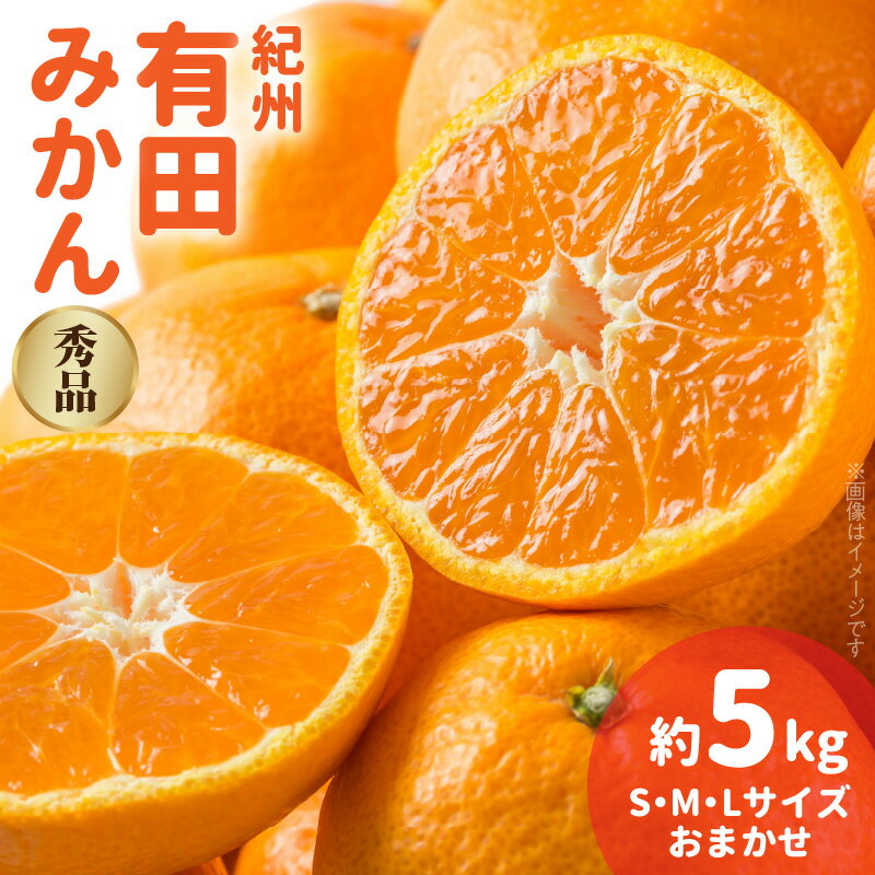 紀州 有田みかん 秀品 約5kg (L・M・Sサイズおまかせ)