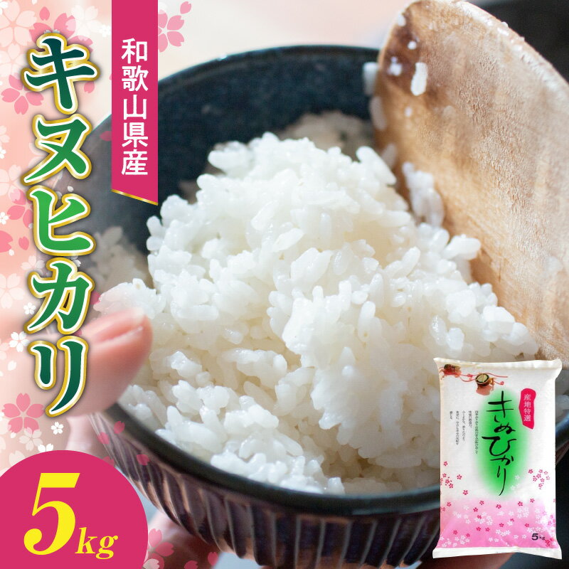 【ふるさと納税】【限定】 和歌山県産キヌヒカリ 5kg【きぬひかり 送料無料 白米 ...