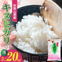【ふるさと納税】 和歌山県産キヌヒカリ 選べる 内容量 5kg 10kg 20kg 【きぬひかり 送料無料 白米 上白米 国産米 キヌヒカリ お米ギフト 米 精...