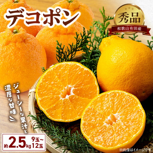 【ふるさと納税】【2026年先行予約】 限定 和歌山 有田産 デコポン 秀品 2.5kg 9~12玉 糖度 13度以上 大きい 果肉 ジューシー 果汁 濃厚 甘み あと引く 酸味 バランス 絶妙 不知火 果物 フルーツ 果実 デザート 柑橘 お取り寄せ 和歌山県 湯浅町 送料無料 【ふるさと納税】【2026年先行予約】 限定 和歌山 有田産 デコポン 秀品 2.5kg 9~12玉 糖度 13度以上 大きい 果肉 ジューシー 果汁 濃厚 甘み あと引く 酸味 バランス 絶妙 不知火 果物 フルーツ 果実 デザート 柑橘 お取り寄せ 和歌山県 湯浅町 送料無料