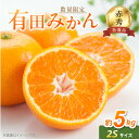 【ふるさと納税】【2025年先行予約】 【数量限定】 【赤秀 特選品】 高評価★4.57 有田みかん 2Sサイズ 約5kg 追熟 有田 みかん 温州みかん 柑橘...