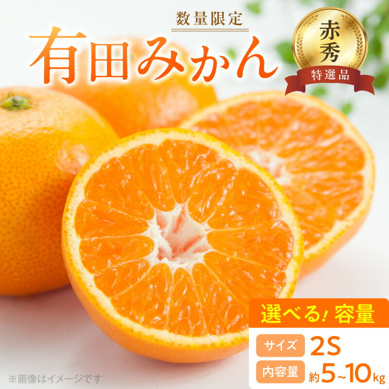 楽天市場】みかん 赤秀の通販