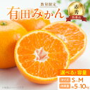 【ふるさと納税】【2025年先行予約】 数量限定 赤秀 特選品 有田みかん S ~ Mサイズ 選べる容量 約5kg ~ 約10kg 和歌山県 有田産 追熟 有田 みかん 温州みかん 柑橘 果物 果実 果肉 フルーツ ビタミン 食品 国産 贈答用 ギフト用 期間限定 お取り寄せ 湯浅町 送料無料