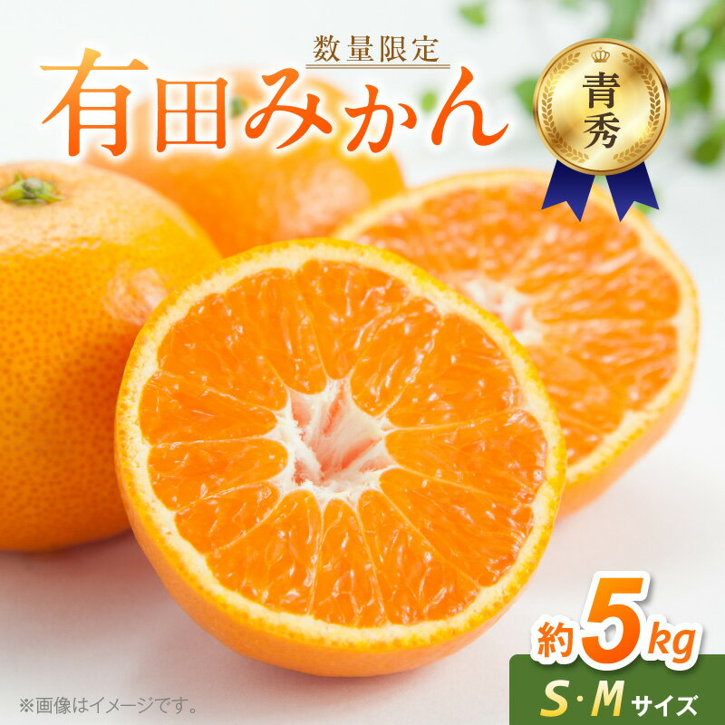 【ふるさと納税】【2025年先行予約】 【数量限定】 有田みかん 青秀 S,Мサイズ 約5kg 【ミカン 柑橘 温州みかん 和歌山 贈答 ギフト】