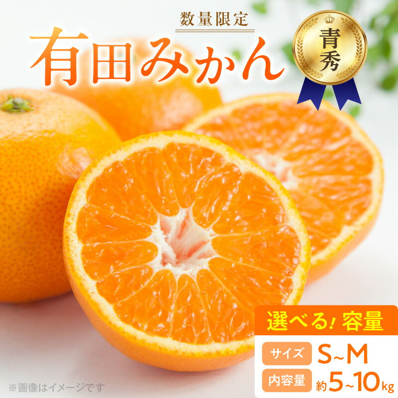 【ふるさと納税】【2025年先行予約】 数量限定 青秀品 有田みかん S ～ Mサイズ 選べる容量 