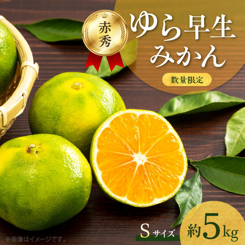 【ふるさと納税】【2025年先行予約】 【数量限定】 ゆら早生みかん 5kg 赤秀 Sサイズ 【ミカン 柑橘 温州みかん 有田みかん 贈答 ギフト わせみかん 由良早生 和歌山】