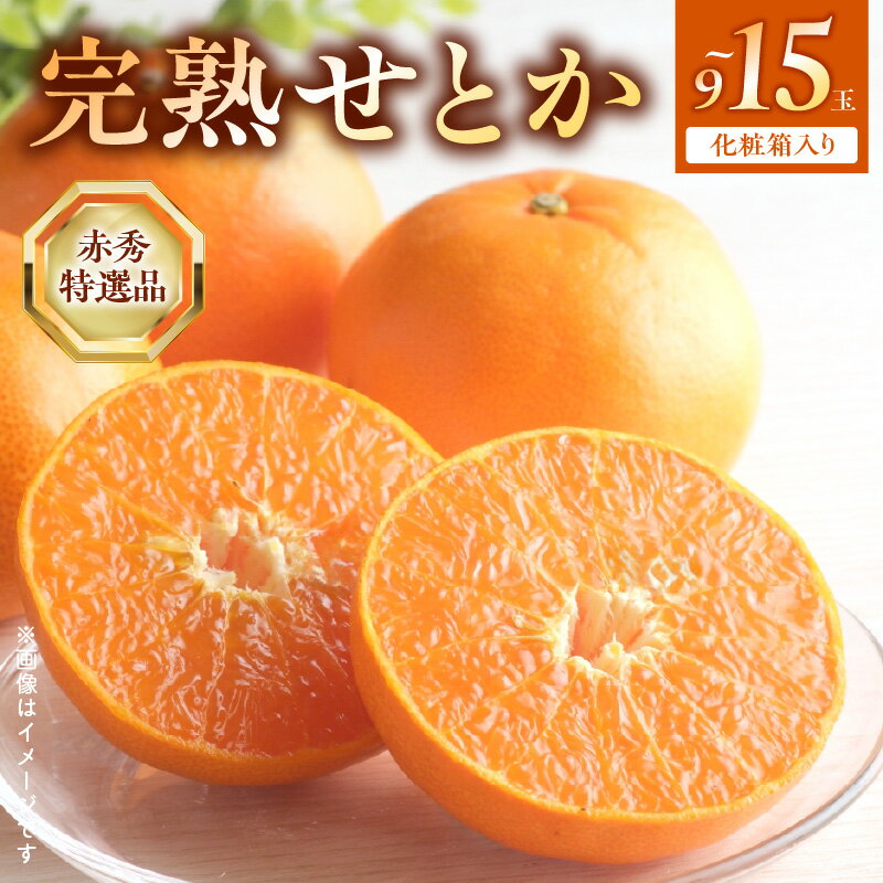 [2026年先行受付] 完熟 せとか 赤秀 特選品 9〜15玉 化粧箱[ミカン 春みかん 柑橘]