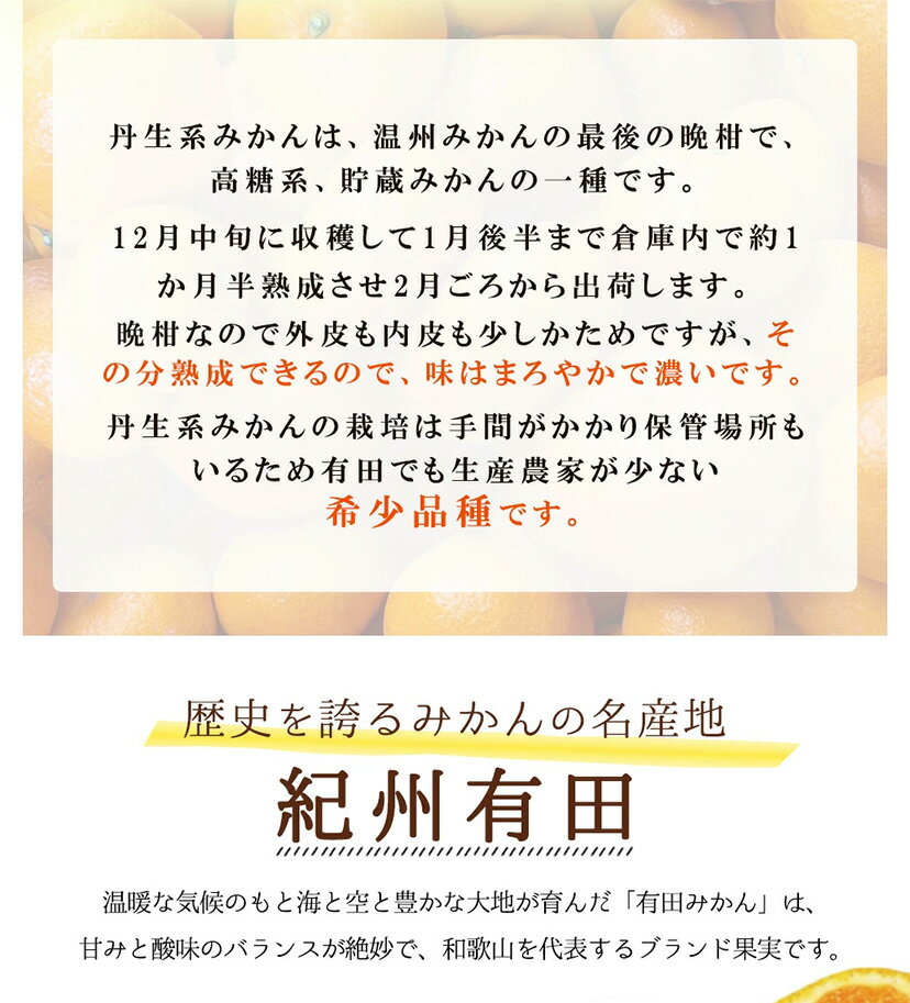 クール便！8月上旬より8月下旬発送！数に限りがあります！【送料無料】【特選贈答用】極上すもも　貴陽！長野産【貴陽】1.5kg　果物箱入り（九州・北海道・沖縄発送不可）