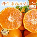 【ふるさと納税】【2026年先行受付】 【高糖系】 越冬本貯蔵 丹生系 みかん 秀品 2L~3L 約5kg 【有田みかん 柑橘 和歌山 蔵出し 貯蔵みかん 大玉】(4)