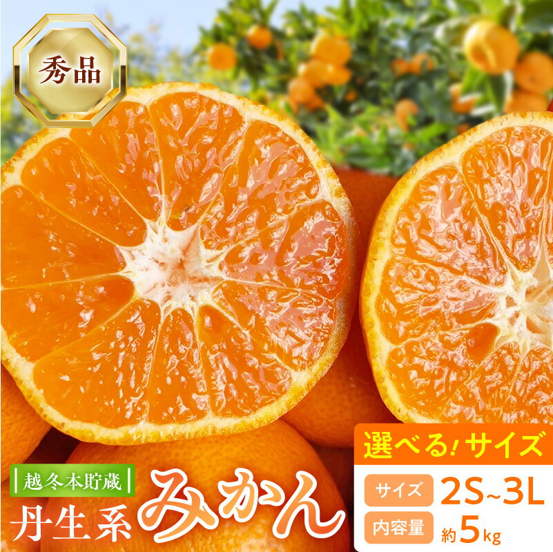 【ふるさと納税】【2026年先行受付】 越冬本貯蔵 丹生系 みかん 秀品 約5kg 選べるサイズ 2S ～ 3L 大玉 希少品種 有田みかん 温州みかん 晩柑 高糖系 貯蔵みかん まろやか 甘い 濃い 柑橘 果物 果実 果肉 フルーツ ビタミン 食品 国産 お取り寄せ 和歌山県 湯浅町 送料無料