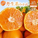【ふるさと納税】【2026年先行受付】 【高糖系】 越冬本貯蔵 丹生系 (にゅうけい) みかん 家庭用 訳あり 混合サイズ 約10kg 【有田みかん 柑橘 和歌...