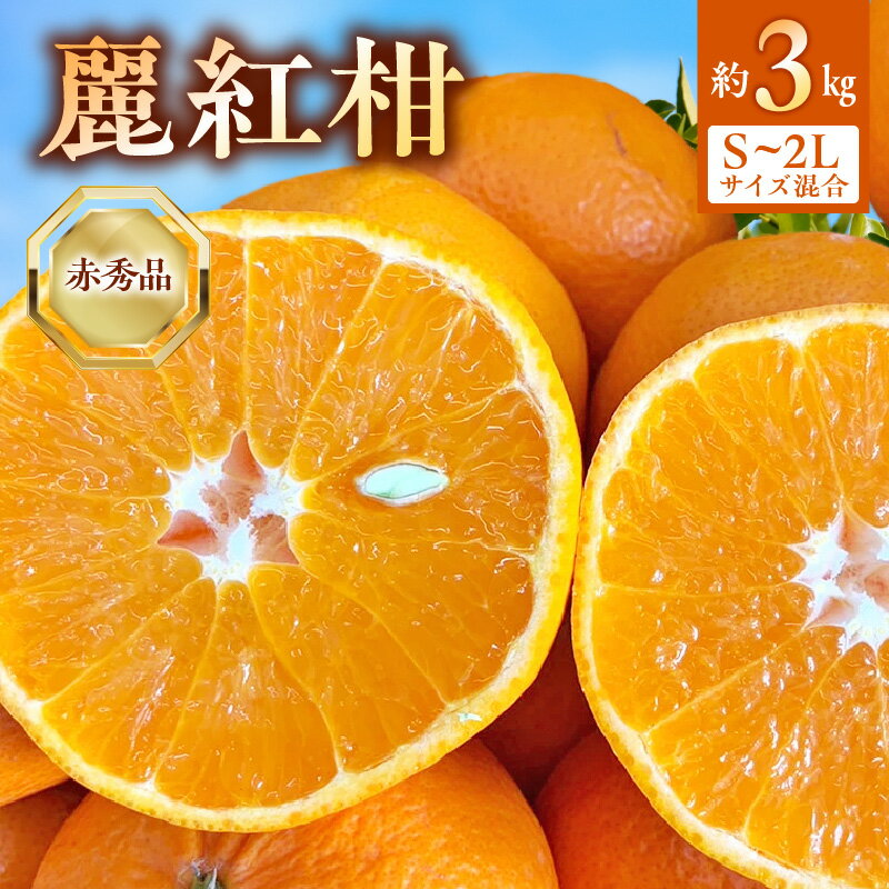 【ふるさと納税】【2026年先行受付】 麗紅柑 (れいこう) 赤秀品 S~2Lサイズ 3kg 和歌山有田産 【ミカン 柑橘 麗紅 有田みかん 和歌山 】