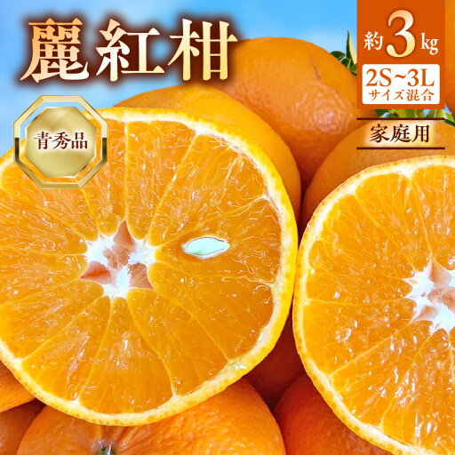 【ふるさと納税】【2026年先行受付】 麗紅柑 (れいこう) 青秀品 (家庭用) 2S~3Lサイズ 3kg 和歌山有田産 【ミカン 柑橘 麗紅 有田みかん 和歌山 】 【ふるさと納税】【2026年先行受付】 麗紅柑 (れいこう) 青秀品 (家庭用) 2S~3Lサイズ 3kg 和歌山有田産 【ミカン 柑橘 麗紅 有田みかん 和歌山 】