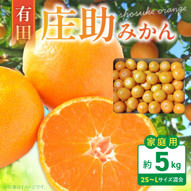 【ふるさと納税】【限定】 庄助みかん 5kg 家庭用・サイズ混合【みかん ミカン 蜜柑 柑橘 温州みかん 和歌山 有田みかん】