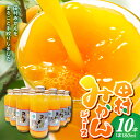 【ふるさと納税】かねよし農園 田村みかんジュース 10本 セット【和歌山 ミカンジュース ストレート 果汁100% 無添加】(4)