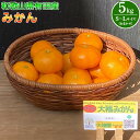 【ふるさと納税】和歌山県有田産 みかん 5kg L~Sサイズ(おまかせ)【みかん ミカン 蜜柑 柑橘 温州みかん 和歌山 有田みかん】