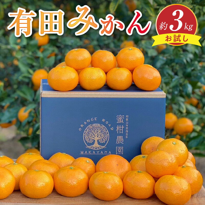 有田みかん はじめて お試し 3kg 有田川町産 有田地方 SSサイズ ～ Lサイズ 混合 契約農園 直送 伝統 甘み ほのかな酸味 バランス 絶妙 コク ジューシー フルーツ 果物 果実 デザート グルメ 柑橘 国産 お取り寄せ お取り寄せフルーツ 和歌山県 送料無料