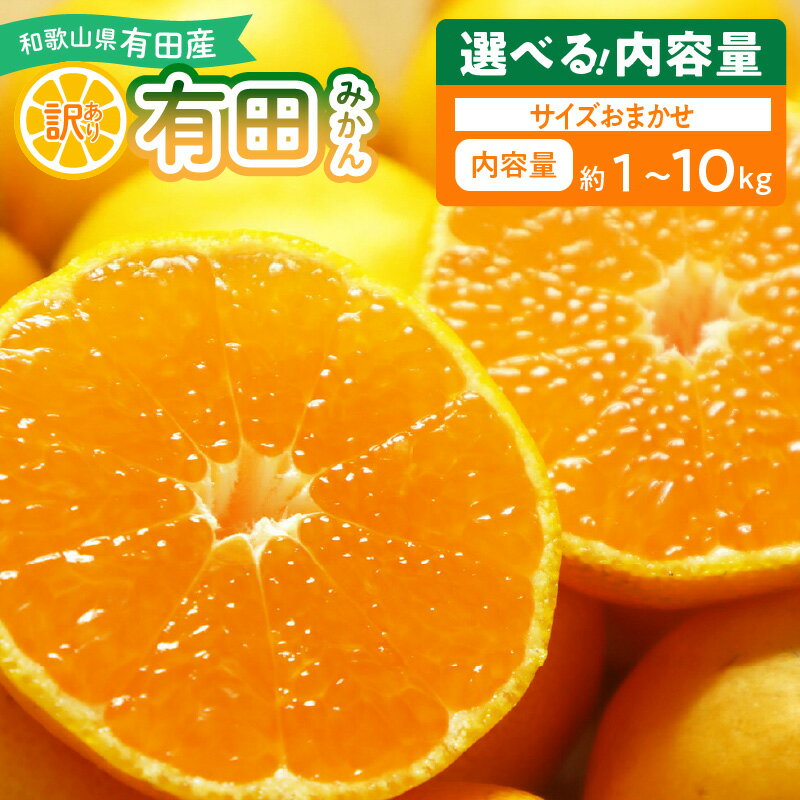 [限定][2025年先行予約] 有田みかん 訳あり 家庭用 選べる 内容量 1kg 〜 10kg 和歌山県 湯浅町 送料無料