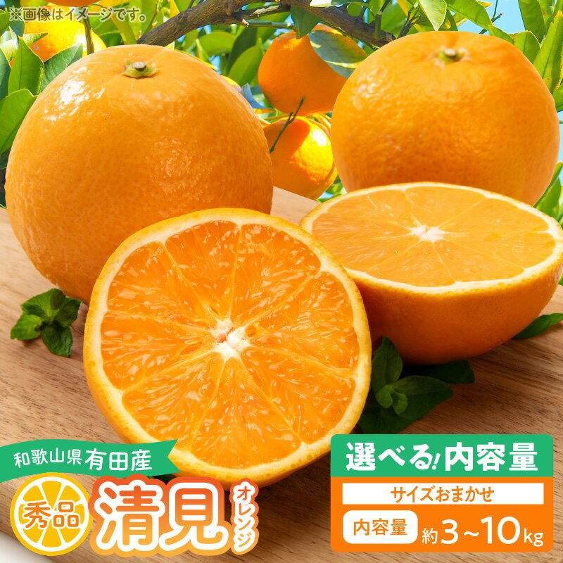 [限定][2026年先行予約] 和歌山県有田産 清見オレンジ 秀品 選べる 内容量 3kg 〜 10kg 和歌山県 湯浅町 送料無料