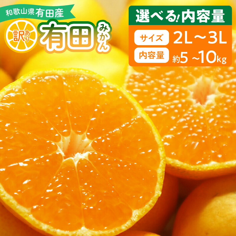 [限定][2025年先行予約] 有田みかん 大玉 訳あり 選べる 内容量 5kg 〜 10kg 和歌山県 湯浅町 送料無料