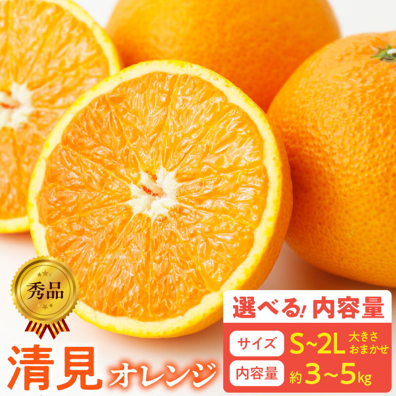 [限定][2026年先行予約] 秀品 清見オレンジ 和歌山 有田 S 〜 2L サイズ 大きさ お任せ 選べる 内容量 約3kg 〜 約5kg 和歌山県 湯浅町 送料無料