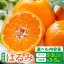 【ふるさと納税】【限定】【2026年先行予約】 ご家庭用 はるみ 和歌山 有田 S~3Lサイズ 大きさお任せ 選べる 内容量 3kg ~ 5kg 和歌山県 湯浅町 送料無料