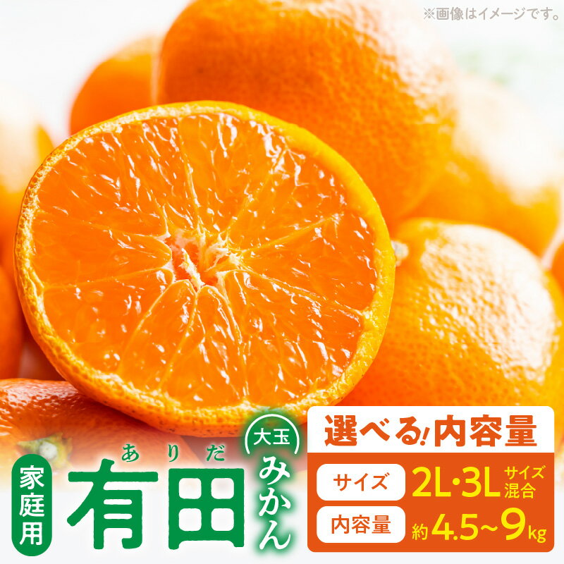 [限定] ご家庭用 有田みかん 大玉 2L 3L サイズ混合 選べる 内容量 約4.5kg 約9kg 和歌山県 湯浅町 お取り寄せ 送料無料