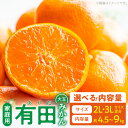 【ふるさと納税】【限定】 ご家庭用 有田みかん 大玉 2L 3L サイズ混合 選べる 内容量 約4.5kg 約9kg 和歌山県 湯浅町 お取り寄せ 送料無料