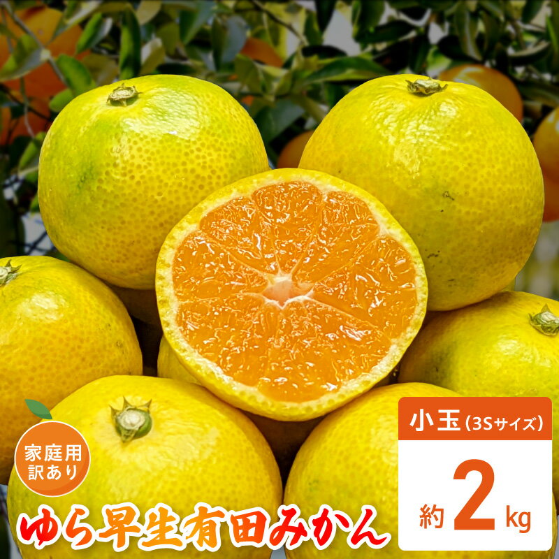 [限定] ゆら早生 有田みかん 家庭用 訳あり 3S サイズ 小玉 約 2kg 早生みかん 柑橘 フルーツ 果物 果実 果汁 デザート 深み 濃厚 国産 北野農園 お取り寄せ 和歌山県 湯浅町 送料無料