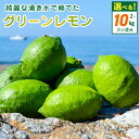 【ふるさと納税】グリーンレモン 選べる 内容量 2kg ~ 10kg 大小混合 レモン 柑橘 綺麗 湧き水 フレッシュ 爽やか 酸味 ジューシー 香り こだわり 料理 お酒に合う レモンサワー 炭酸水 フルーツ お取り寄せ 和歌山県 湯浅町 送料無料