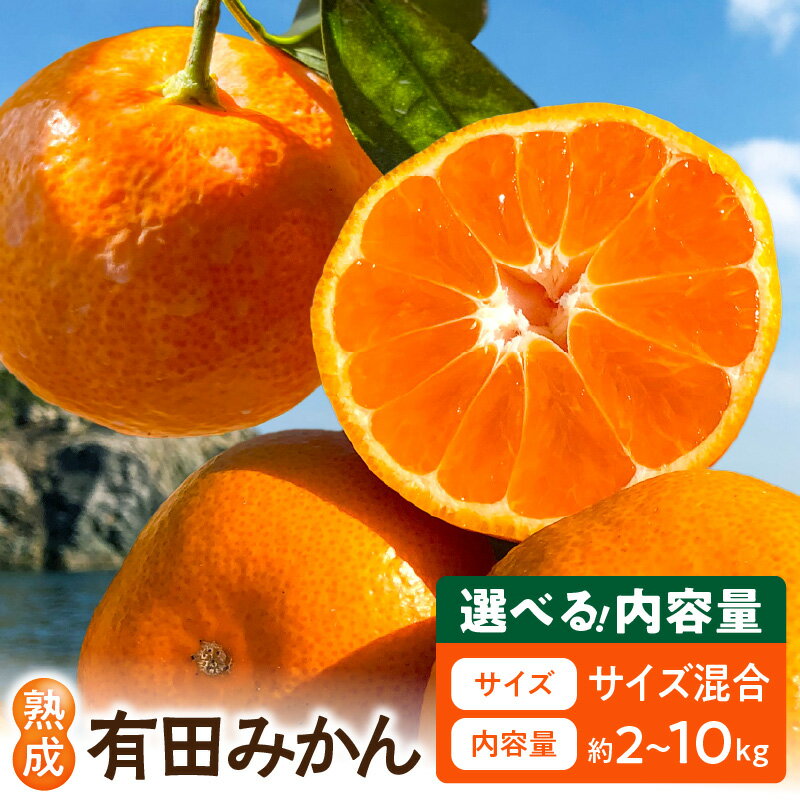 有田みかん 熟成みかん 大小混合 選べる 内容量 2kg 〜 10kg みかん 今村温州 丹生系温州 高糖系 品種 糖度 高い 濃厚 コク 華やかな風味 12月下旬 収穫 貯蔵熟成 こだわり フルーツ 果物 果実 デザート お取り寄せ 和歌山県 湯浅町 送料無料