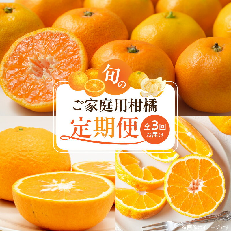 【ふるさと納税】限定 定期便 自慢の 柑橘 セット 全3回 発送月固定 酸味 甘み バランス コク 完熟 温州みかん ジューシー プリップリ 果肉 不知火 濃厚 果汁 清見オレンジ ご家庭用 訳あり 有田産 みかん 果実 果物 デザート おやつ お取り寄せ 和歌山県 湯浅町 送料無料