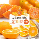 【ふるさと納税】限定 定期便 旬の 柑橘 セット 全4回 発送月固定 酸味 甘み バランス 完熟 温州みかん ジューシー プリップリ 果肉 不知火 とろける 食...