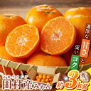 【ふるさと納税】【限定】 【2025年 先行予約】 高級ブランド 秀品 紀州有田田村産みかん 3kg 濃厚 糖度 酸味 バランス 甘さ コク 国産 みかん 有田みかん フルーツ 果物 果実 デザート おやつ お取り寄せ お取り寄せフルーツ 和歌山県 湯浅町 送料無料