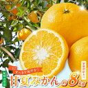【ふるさと納税】【限定】【 2026年先行予約】 訳あり 紀州 有田産 甘夏みかん 8kg 甘さ すっきり 爽やか 酸味 バランス 絶妙 家庭用 甘夏 みかん ...