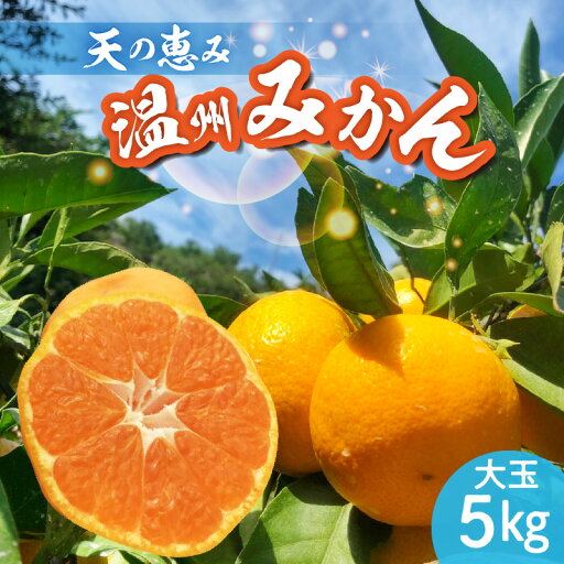 【ふるさと納税】【2025年先行予約】 天の恵み 温州みかん 大玉5kg【ミカン 蜜柑 柑橘 温州みかん 和歌山】 【ふるさと納税】【2025年先行予約】 天の恵み 温州みかん 大玉5kg【ミカン 蜜柑 柑橘 温州みかん 和歌山】