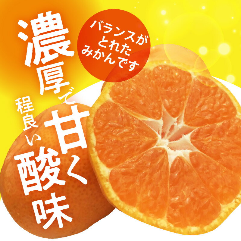 【ふるさと納税】【2025年先行予約】 天の恵み 温州みかん 大玉5kg【ミカン 蜜柑 柑橘 温州みかん 和歌山】