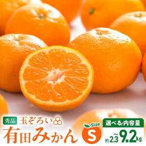 【ふるさと納税】【2025年先行予約】 【TVで紹介されました】 高評価 秀品 有田みかん 選べる 内容量 Sサイズ 傷み補償 付き 約 2.5~10kg 温州みかん 柑橘 果物 果実 フルーツ 甘味 酸味 バランス 人気 期間限定 グルメ お取り寄せ グルメ 和歌山県 湯浅町