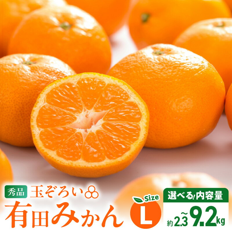 [2025年先行予約] [TVで紹介されました] 高評価 秀品 有田みかん 選べる 内容量 Lサイズ 傷み補償 付き 約 2.5~10kg 温州みかん 柑橘 果物 果実 フルーツ 甘味 酸味 バランス 人気 期間限定 グルメ お取り寄せ グルメ 和歌山県 湯浅町