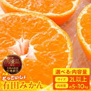 【ふるさと納税】【限定】 【2025年先行予約】 みかん 大玉 どっこいしょ 2Lサイズ 以上 秀品 優品 混合 選べる 内容量 箱込 5kg ~ 10kg 有田みかん 和歌山県産 産地直送 みかんの会 フルーツ デザート お取り寄せ 和歌山県 湯浅町 送料無料(4)