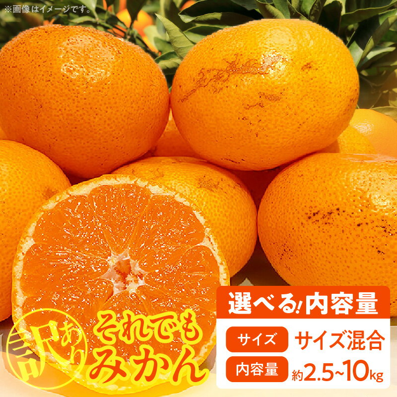[限定] [2025年先行予約] 訳あり 家庭用 みかん サイズミックス B品 選べる 内容量 箱込 2.5kg 〜 10kg 有田みかん 和歌山県産 産地直送 みかんの会 フルーツ デザート お取り寄せ 和歌山県 湯浅町 送料無料